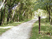 bugline trail